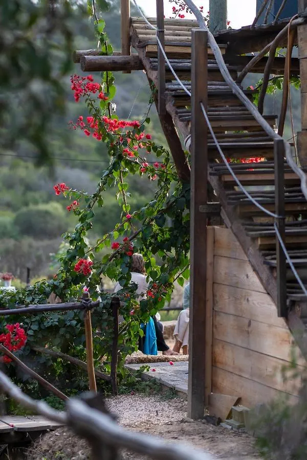 Soul Farm Algarve - Glamping & Farm Houses Aljezur