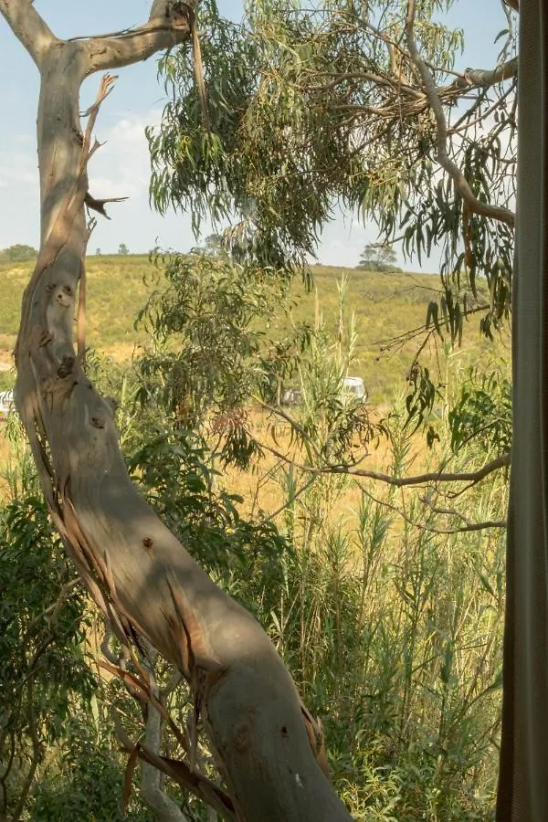 Soul Farm Algarve - Glamping & Farm Houses Aljezur